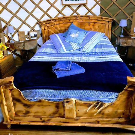 Bembridge Harbour Yurt - Log Burner - Wifi Villa Luaran gambar