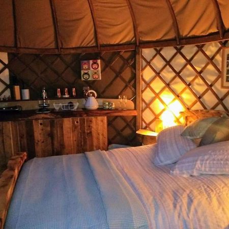 Bembridge Harbour Yurt - Log Burner - Wifi Villa Luaran gambar