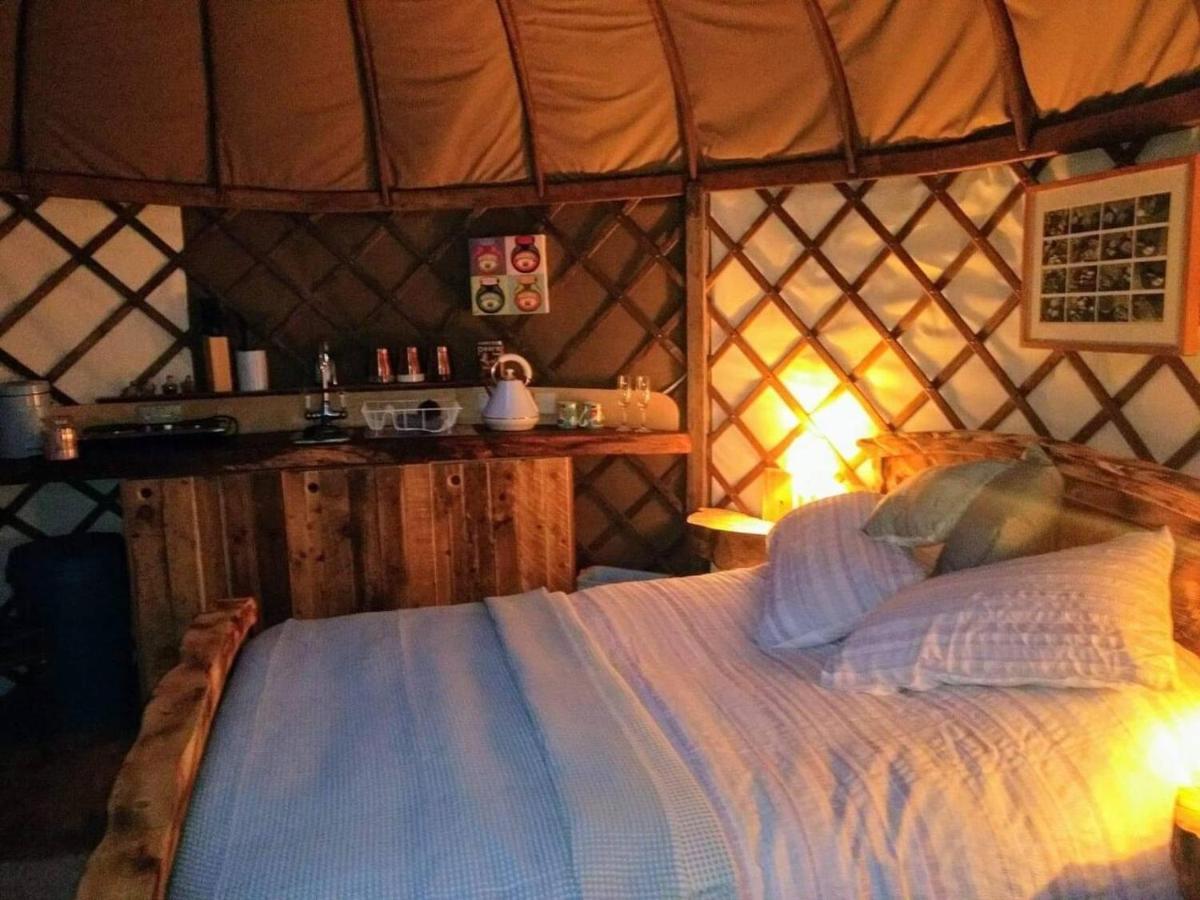 Bembridge Harbour Yurt - Log Burner - Wifi Villa Luaran gambar